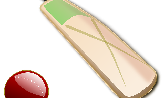 cricket-150560_640